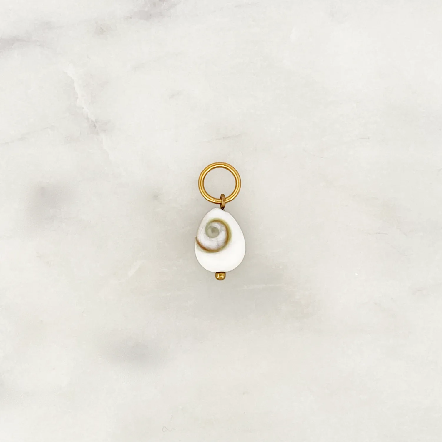 DYO Shiva Shell