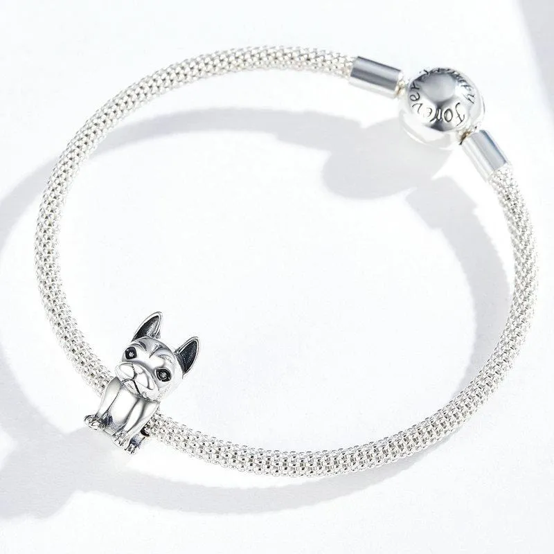 French Bulldog Charm