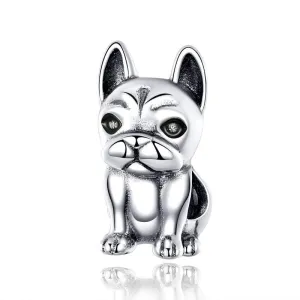French Bulldog Charm