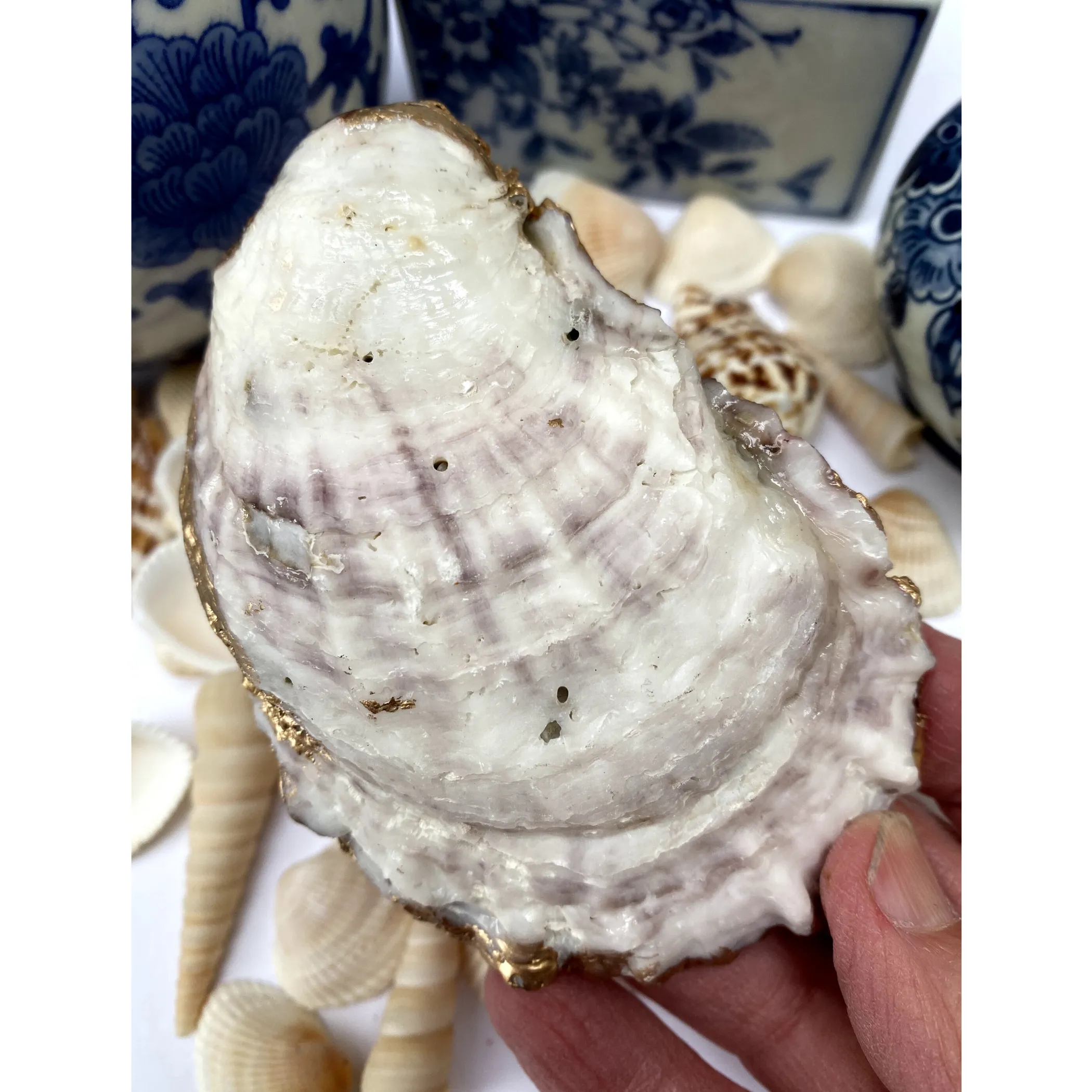 Oyster Shell Art,  Blue Trellis Design