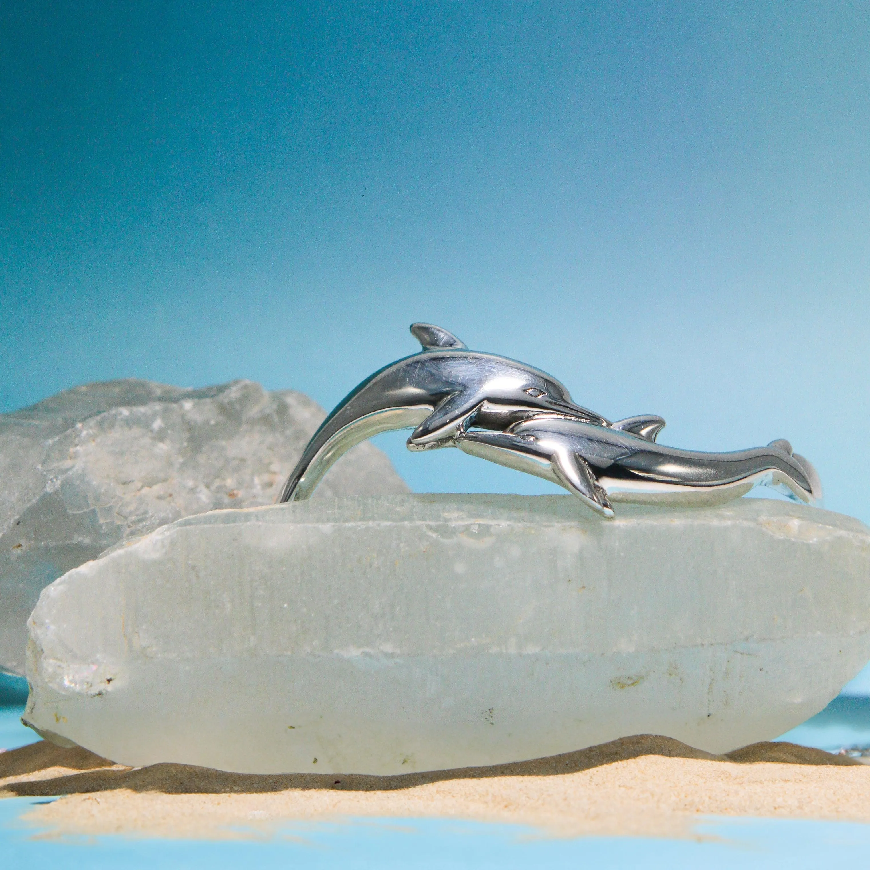 The Tale of the Gentle Dolphin TBG014