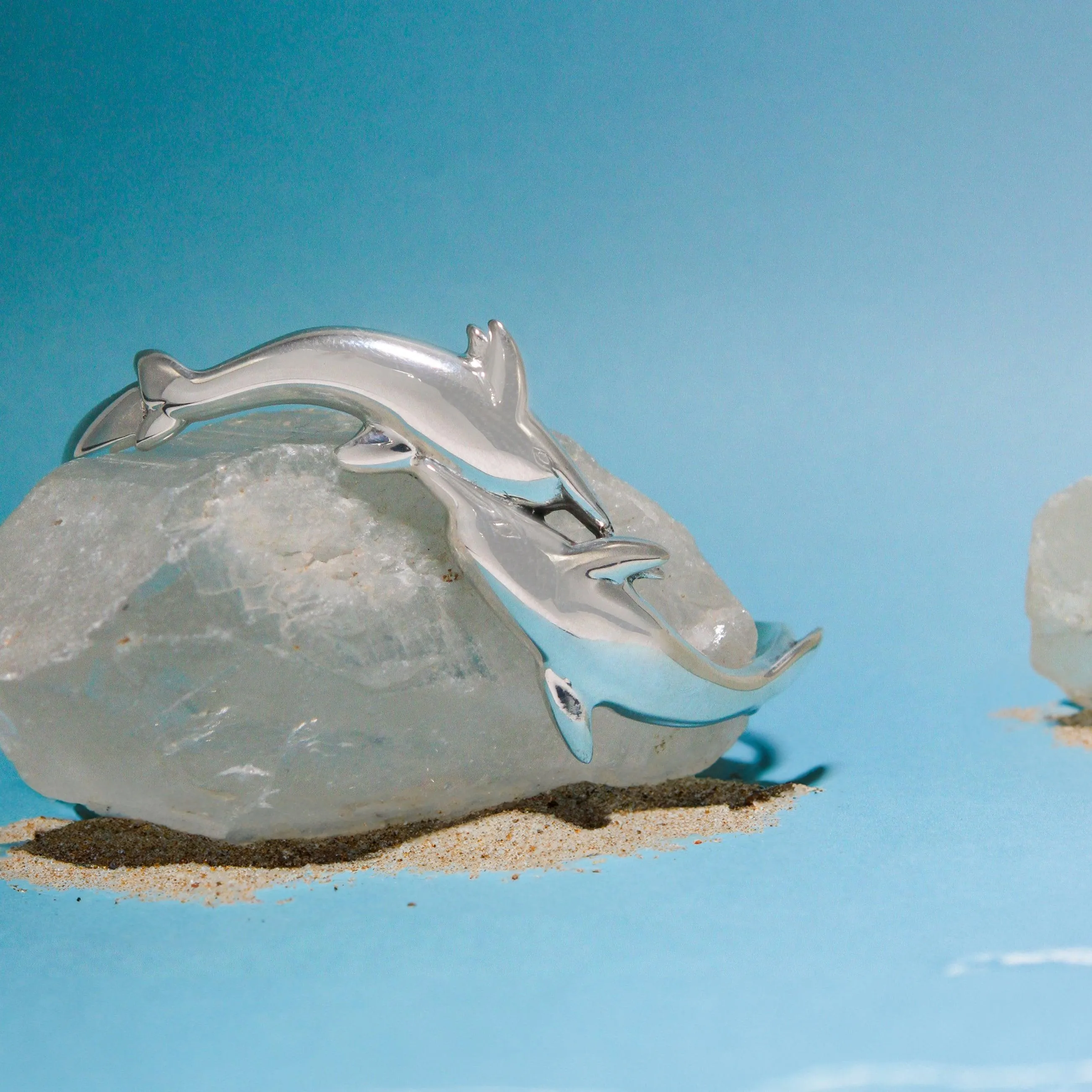 The Tale of the Gentle Dolphin TBG014