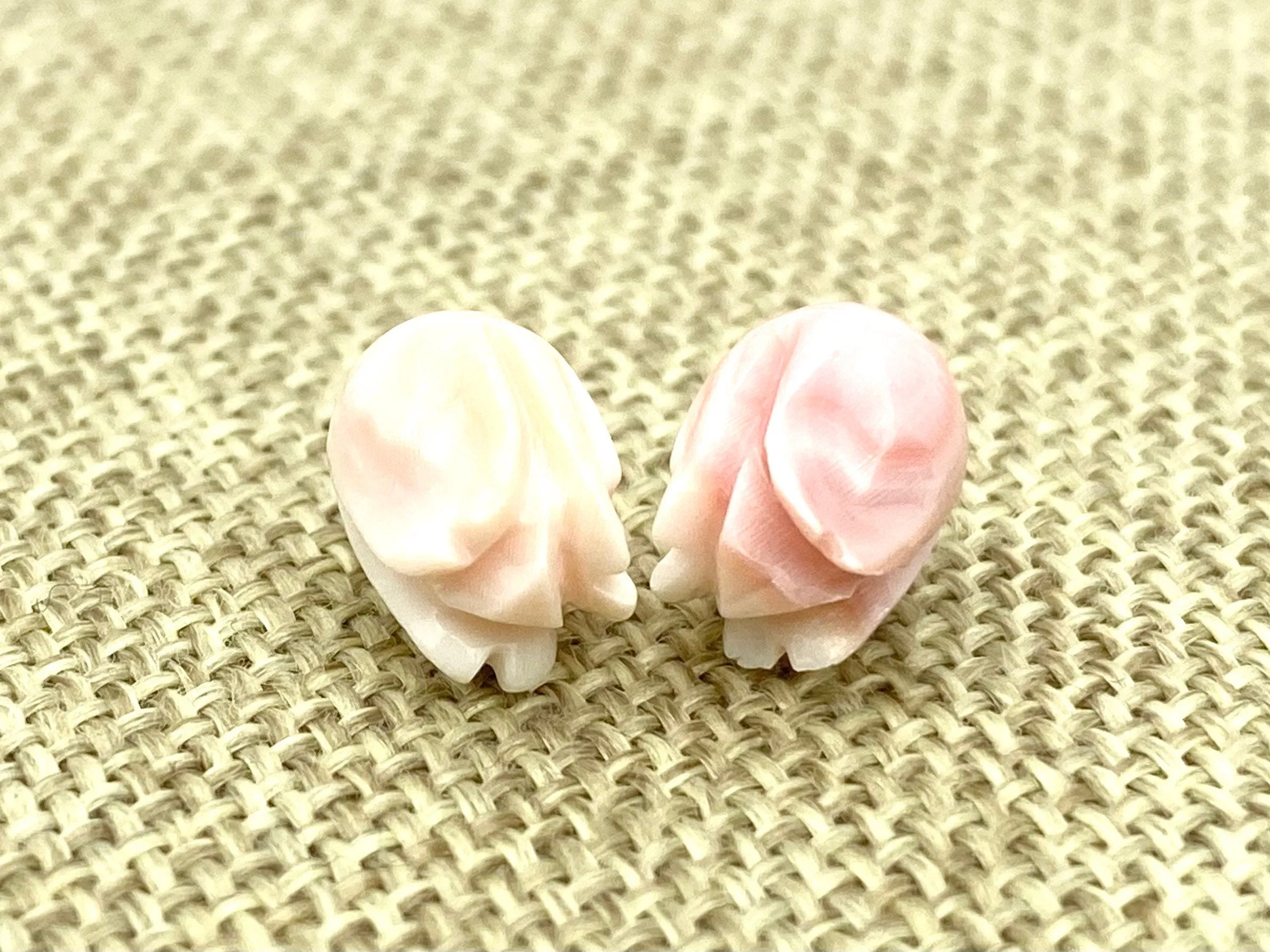 Tulip Bead, Conch Shell, Tulip, Conch bead, 100% Natural Colors, Sku#M25