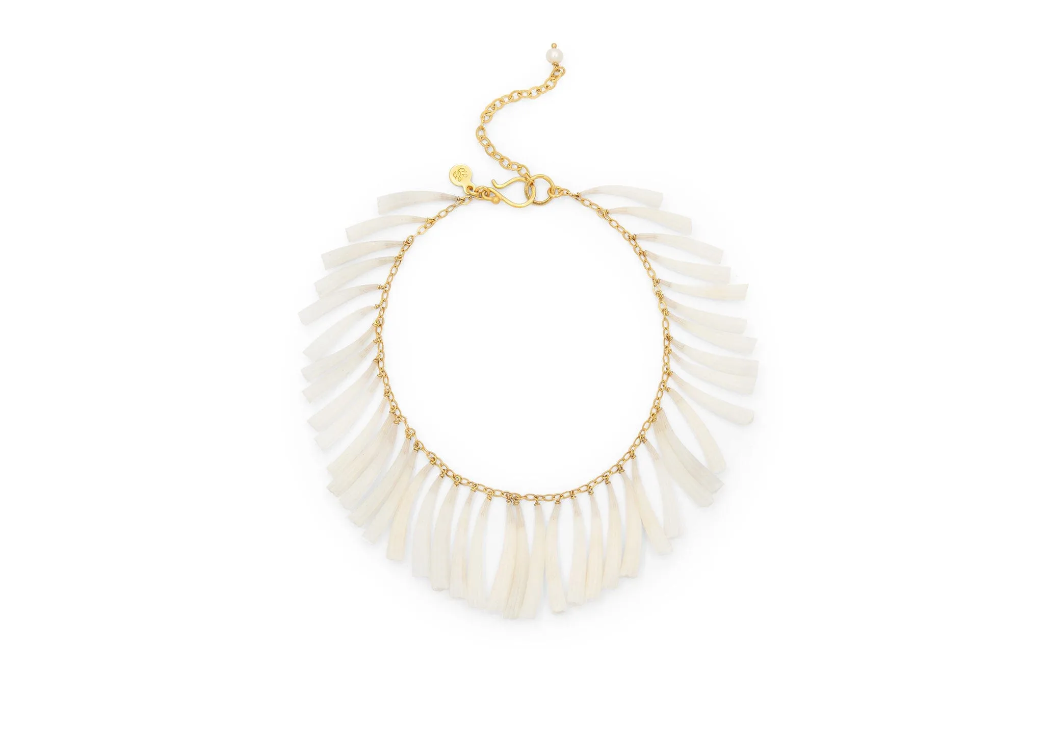 Tusk Shell Bracelet